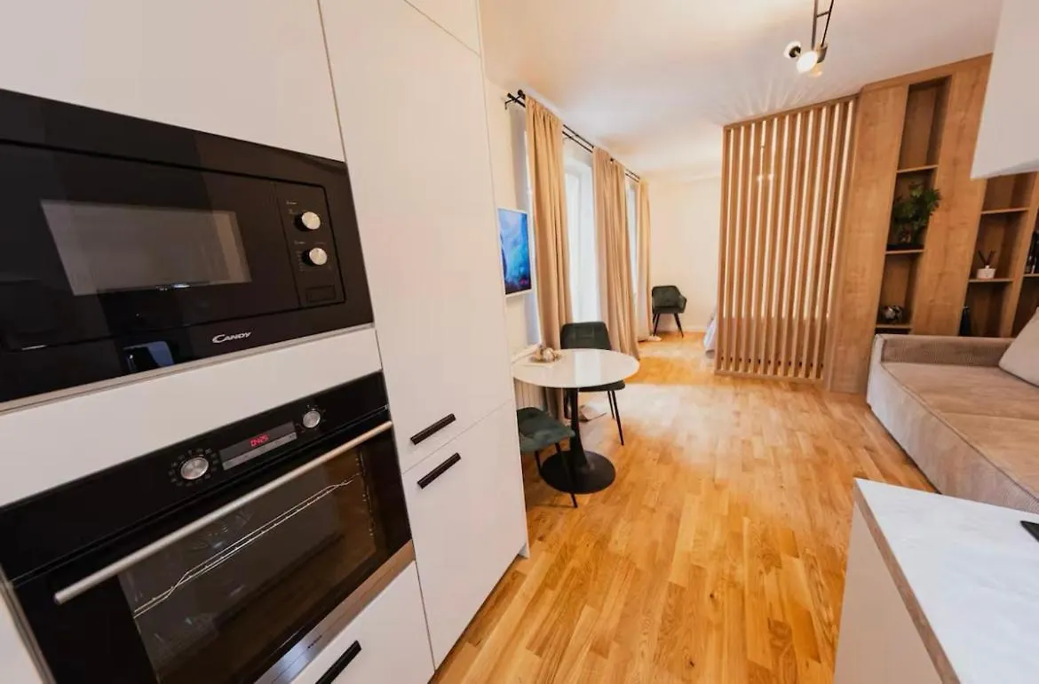 Stylish Studio In The City Center Prague